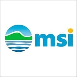 MSI Logo