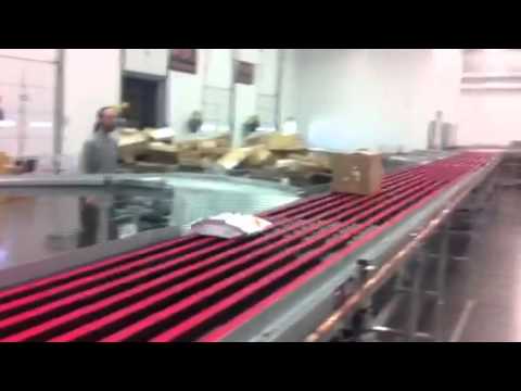 NBS sorter 300fpm